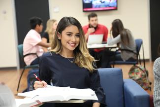 Student studying in Learning Commons